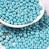 Baking Paint Luster Glass Seed Beads SEED-B001-04A-03-1