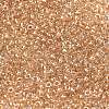 MIYUKI Round Rocailles Beads SEED-G008-RR0234-2