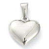 304 Stainless Steel Pendants STAS-P278-01R-P-2