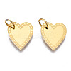 316 Surgical Stainless Steel Charms STAS-N097-021-2