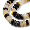 Natural Black Lip Shell Beads Strands SSHEL-N003-150-3