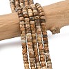 Natural Picture Jasper Heishi Beads Strands G-A299-A05-01-1