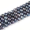 Natural Cultured Freshwater Pearl Beads Strands PEAR-N014-06G-06-5