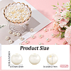 Imitation Pearl Acrylic Beads PEAR-LT0001-02B-2