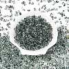Spray Painted with Glitter Powder Glass Seed Beads SEED-T007-09C-1