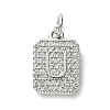 Rack Plating Brass Micro Pave Clear Cubic Zirconia Charms KK-G501-01U-P-1