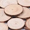 Unfinished Natural Poplar Wood Cabochons X-WOOD-E018-12-3