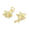 Brass Pendants KK-U060-21G-C-3