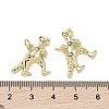 Real 18K Gold Plated Brass Micro Pave Cubic Zirconia Pendants KK-L209-063G-02-3