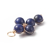 Natural Lapis Lazuli Copper Wire Wrapped Pendants PALLOY-JF01981-01-2