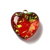 Transparent Resin Pendants LS-RESI-F035-02D-1