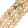 Natural Gemstone Beads Strands G-I376-B21-01-1