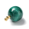 Natural Malachite Round Pendants G-P501-07G-3