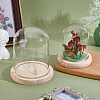 2Pcs 2 Styles Glass Dome Cover AJEW-NB0007-93-4