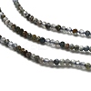 Natural Apatite Beads Strands LS-G-RM2025-A23-2mm-4