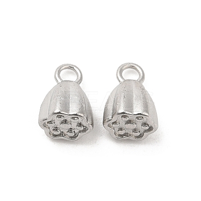 Non-Tarnish 304 Stainless Steel Charms STAS-H214-13P-1