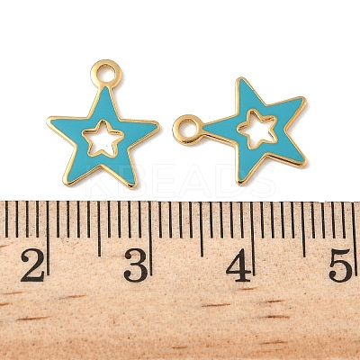 304 Stainless Steel Enamel Charms STAS-U057-13G-02-1