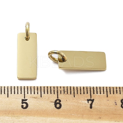Geometric Figure Style 304 Stainless Steel Stamping Blank Tag Charms STAS-D302-03A-1