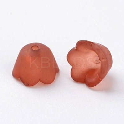 Transparent Acrylic Beads Caps X-PL543-13-1