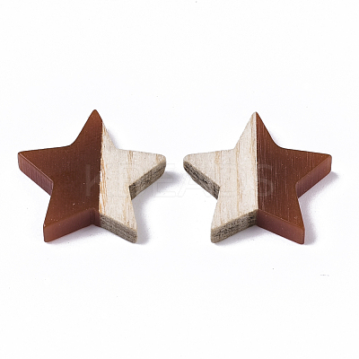 Resin & Wood Cabochons RESI-R425-02-1
