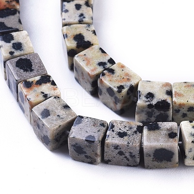Natural Dalmatian Jasper Beads Strands G-D0020-14-1