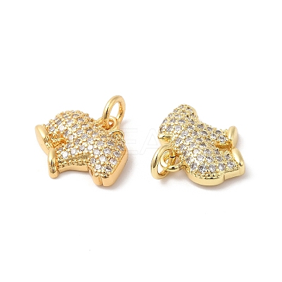 Brass Micro Pave Clear Cubic Zirconia Pendants ZIRC-L103-039G-1