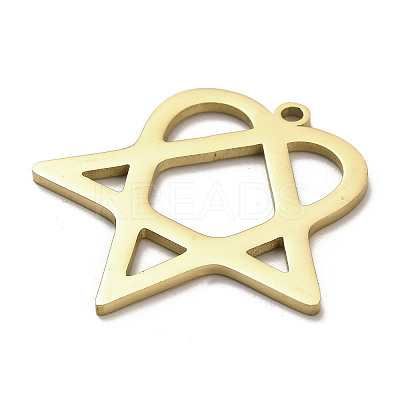 304 Stainless Steel Pendants STAS-B054-07G-1