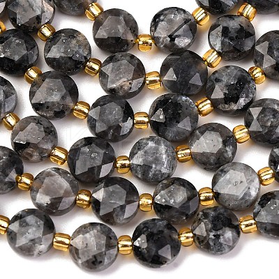 Natural Larvikite Beads Strands G-C116-A30-02-1