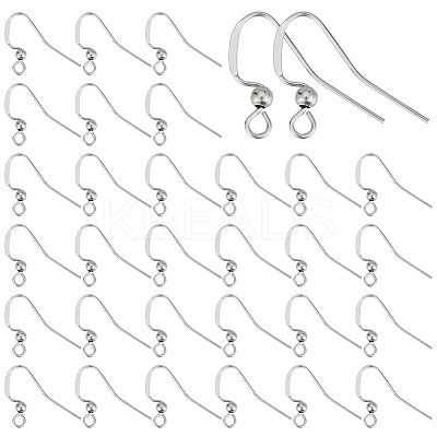 100Pcs 304 Stainless Steel Ear Wire STAS-UN0054-32-1