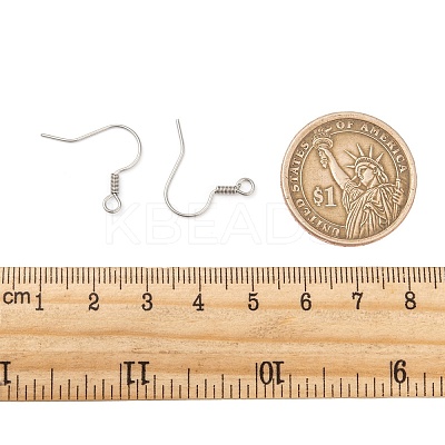 Tarnish Resistant 316 Surgical Stainless Steel Earring Hooks LS-X1-STAS-E009-2-1