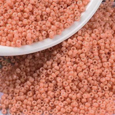MIYUKI Round Rocailles Beads X-SEED-G009-RR4462-1