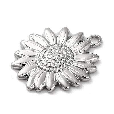 Anti-Tarnish 304 Stainless Steel Pendants STAS-K293-06P-1