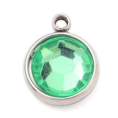 304 Stainless Steel Charms STAS-I165-04A-P-02-1