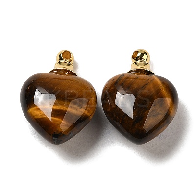Natural Tiger Eye Perfume Bottle Pendants G-Z039-03G-05-1