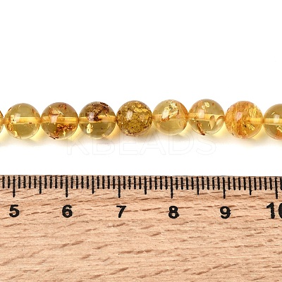 Natural Amber Beads Strands G-K376-H03-02-1