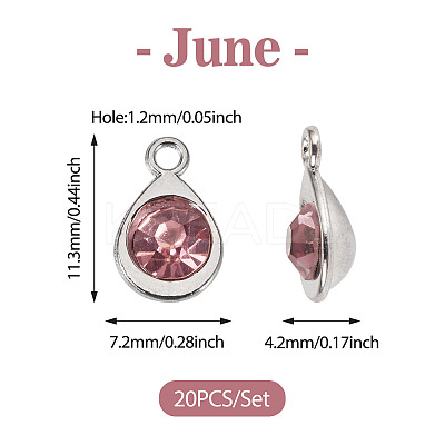 20Pcs Faceted Glass Charms RGLA-TADJ0001-01B-1