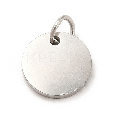 Non-Tarnish 304 Stainless Steel Charms STAS-G295-23P-1