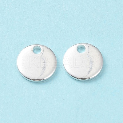 304 Stainless Steel Charms STAS-L234-081A-S-1
