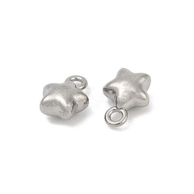 304 Stainless Steel Charms LS-X-STAS-E500-04P-1