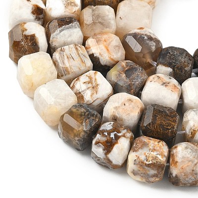Natural Petrified Wood Beads Strands G-C267-A06-1