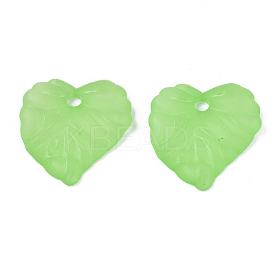 Transparent Acrylic Pendants TACR-S157-01B-1