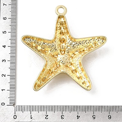 Alloy Big Pendants X-FIND-H055-13G-1