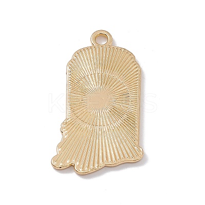 Alloy Enamel Pendant FIND-H040-01A-1