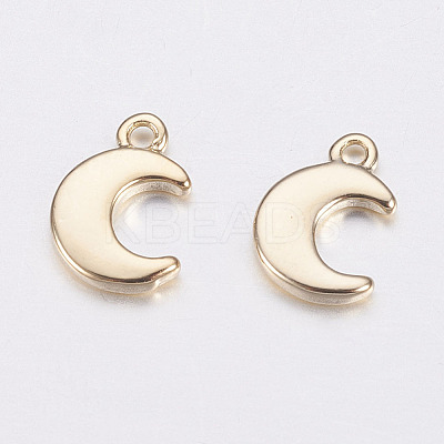 Long-Lasting Plated Brass Charms X-KK-F741-42G-1