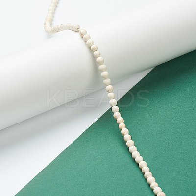 Nrtutal Magnesite Beads Strands G-L575-01A-1
