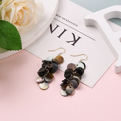 Natural Black Lip Shell Dangle Earrings X1-EJEW-JE04370-1