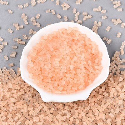 FGB Frosted Transparent Glass Seed Beads X-SEED-N013-05A-03-1