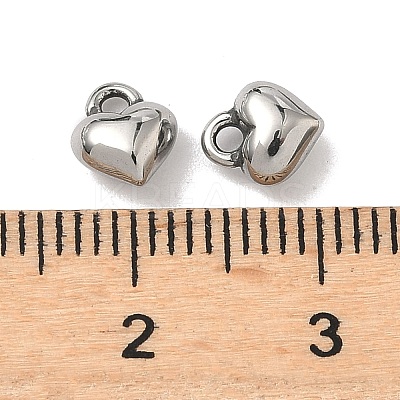 316 Surgical Stainless Steel Charms STAS-L307-15P-1