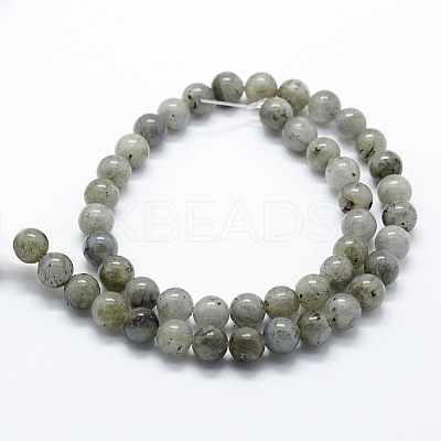 Natural Labradorite Beads Strands G-I199-15-12mm-1