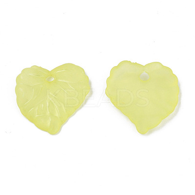 Transparent Acrylic Pendants TACR-S157-01A-1